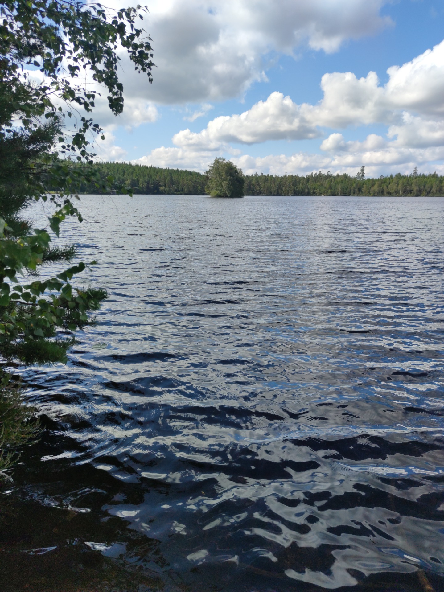 Paus vi sjön